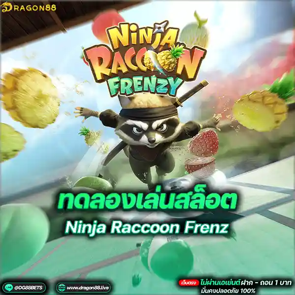 สล็อตเว็บตรง2024 ทดลองเล่นสล็อตPG Ninja Raccoon Frenzy แรคคูนนินจา